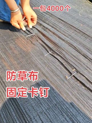 防草布固定卡钉 #果园除草 #防草布 #防草布地钉厂家 #农业种植 #分享农业知识帮农民增产增收