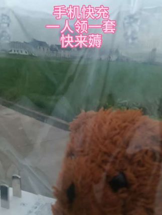 兄弟姐妹们,一个账号薅一套,不要白不要#充电器#数码科技。
