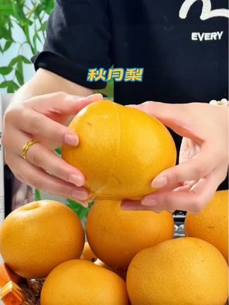 正宗烟台莱阳秋月梨!原产地现摘现发!纯甜爆汁!细腻无渣!#梨 #秋月梨
