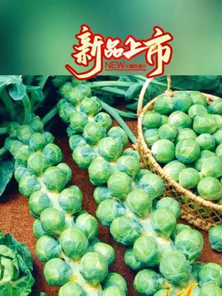 #好物推荐🔥