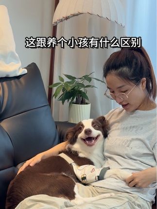 这小家伙太招人稀罕了#内容过于真实 #vlog日常 #萌宠 #萌宠出道计划 #日常生活