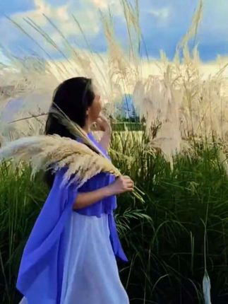 芦苇是秋天的终极浪漫,吹自由的风,做喜欢的自己#芦苇荡美景#芦苇花#属于秋天的颜色#自然美景 #嘉陵江广元段