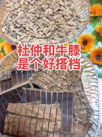 杜仲配牛膝,要强不费力#养生泡酒 #泡酒好料 #健康养生酒 #泡酒配方分享 #自制养生酒