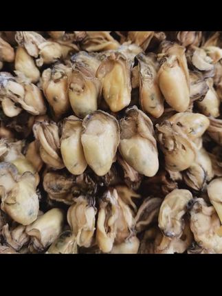 #地方特色食材 【珠海升仔】 台山金蚝无抽油 六成干 香煎闷煮 250克/500克#好吃不贵经济实惠 #金蚝