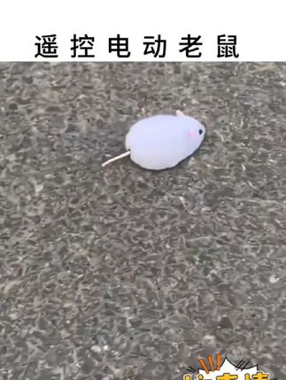 电动遥控老鼠#遥控老鼠#电动老鼠 #脑洞大开 #敲可爱 #快来看看 @巨量千川 @抖加🔥上热门🔥dou+🔥热点宝