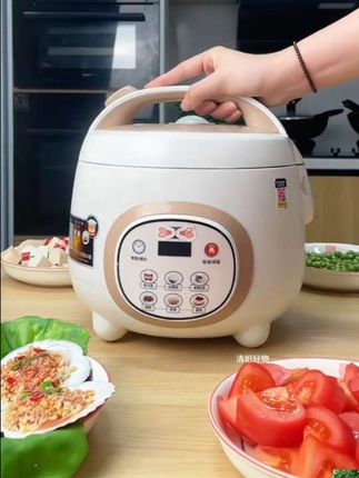 半球电饭锅,蒸煮煲汤电饭煲,智能粥锅,煮饭1.6L-2L3L4L5升触屏#电饭锅#电饭煲#小电饭煲#多功能电饭煲#老式电饭煲