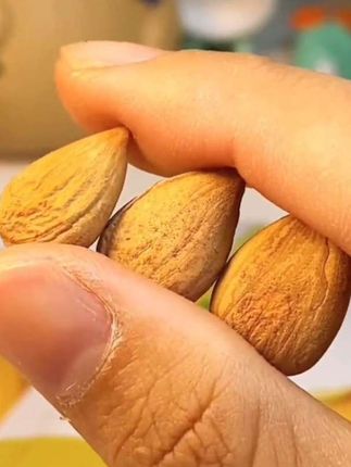#【到手一斤】2025新疆特产开口杏仁坚果袋装手剥开口杏核薄壳炒货