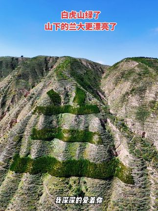 榆中白虎山位于兰州市榆中县夏官营镇。传说因山中有白虎而得名。"九八五"名校兰州大学榆中校区就座落在山下,白虎山更名为“萃英山”,取义“为天下聚集英才”。兰州大学进驻后,开展荒山绿化工程,前山已基本被植被覆盖,树木种植形成了“兰大”两个巨型大字。#抖出你的家乡 #汉洁带你看榆中 #寻美榆中 #寻美兰州 #兰州大学榆中校区 @千姿彩美妆汉洁 @抖音小助手