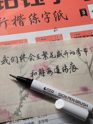 #手写#练字#秀丽笔,很喜欢秀丽笔写字的这个感觉#写字是一种生活 #见字如面