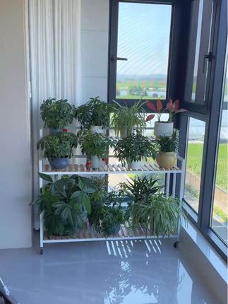 多层可移动花架#多层花架#可移动花架置物架 #花架#强烈推荐 #阳台上的风景 @DOU+上热门 @巨量千川