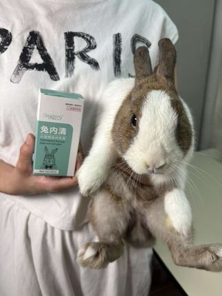 兔子如果频繁抓耳挠腮、干吃不胖、拉稀可能有虫了,要重视起来 #萌宠 #科学养兔 #球虫