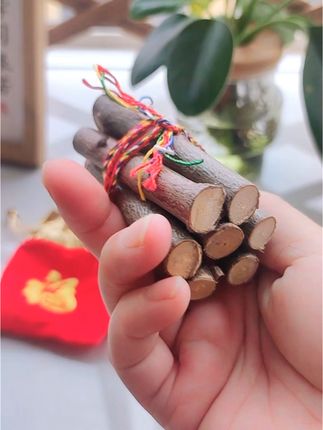 东南方向桃木枝#桃枝#国学文化#老祖宗的智慧#好运连连