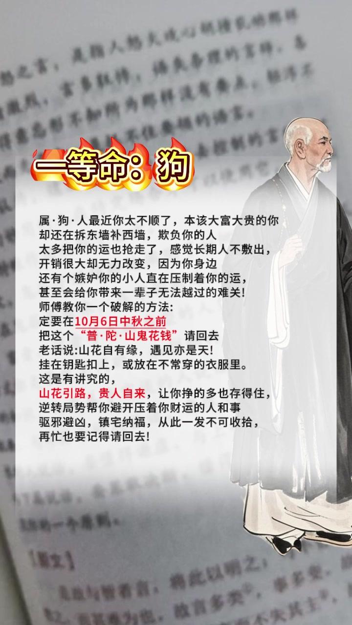 #狗