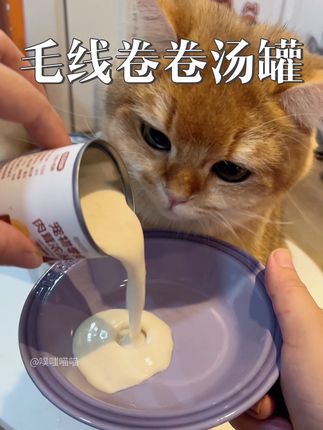 毛线卷卷家也出新品肉茸浓汤罐啦,营养又补水,两个口味适口性都 很棒~#毛线卷卷#喂猫日记#猫咪补水餐