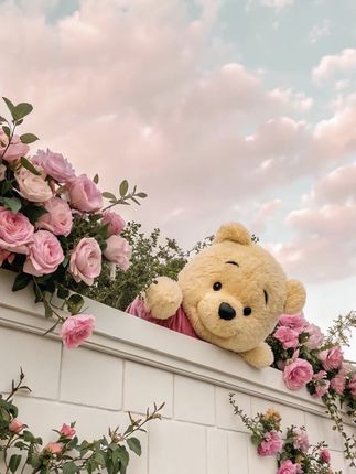 #正能量#正能量传递#正能量上热榜#一念江南官宣#李羲承让粉丝闭眼