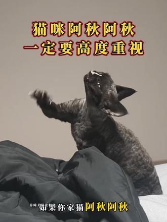宠物用品赛道文案素材 - 每天给猫咪吃赖氨酸膏补充营养,才不会换季出现各种身体问题后悔 #赖氨酸 #猫胺膏 #养宠好物分享 #养猫新手 #科学养宠攻略 - 异瞳美猫张粉条作品
