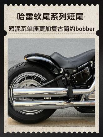 哈雷软尾系列短尾
突破者,肥仔等
或者街霸,软尾标准等
不同的size,相同的造型,漏出你的大宽胎,帅就完事儿了!
#哈雷软尾车系 #哈雷突破者#哈雷肥仔#哈雷街霸#哈雷软尾标准