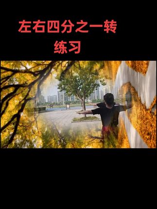 2025.7.12摩登元素练习