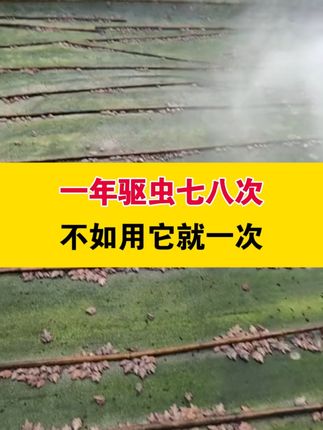 一年驱虫七八次,不如用它就一次##牛蛙养殖 #黑斑蛙养殖 #石蛙 #泰蛙 #林蛙