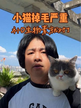 全网都在逼你缴掉毛税,只要补对咯,是可以减少掉毛烦恼。#养猫经验分享 #新手养猫 #猫咪掉毛 #D生物素