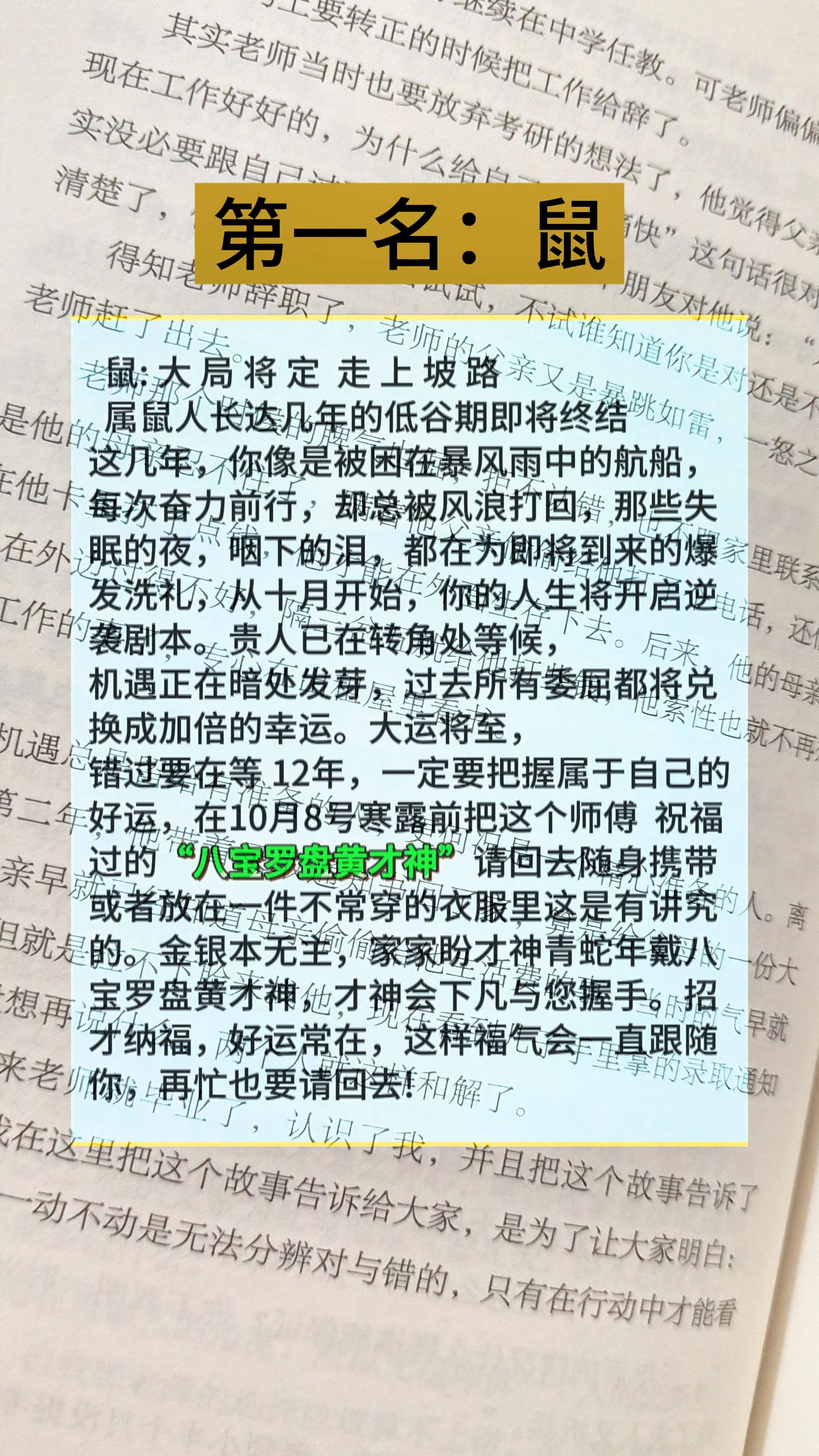 #96属鼠 #84年老鼠 #72年的鼠