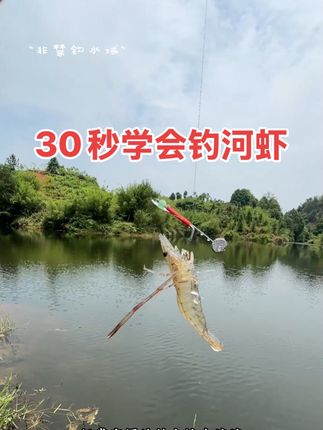 30秒教会你钓河虾 #钓虾 #挺兄钓虾 #钓虾饵料 #挺兄 #钓虾技巧