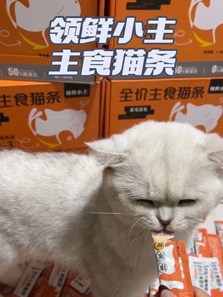 领鲜小主主食猫条,39块9一百支额外在赠送你十支,刷到可以多囤点。#萌宠好物 #领鲜小主 #领鲜小主主食猫条 #领鲜小主猫条 #主食猫条