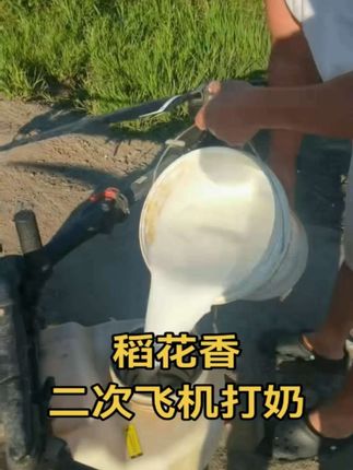 #田间地头 #农业种植 #一分耕耘一分收获 五常原产地 纯正原粮稻花香二号2025年新米