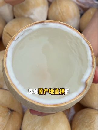 别喝不健康的碳酸饮料了,不如尝尝这口树上的鲜甜 #椰皇