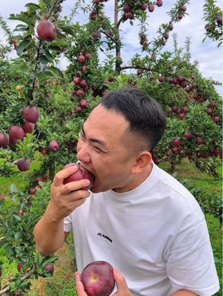 高山花牛苹果,现摘现发