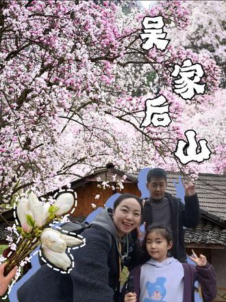 绵阳周边看辛夷花,就来吴家后山!
6万株百年古树,漫山粉紫超治愈。
风一吹就是花瓣雨,拍照不用滤镜。
免费赏花,小众秘境,赶紧冲!
#创作灵感 #绵阳旅游 #绵阳赏花 #绵阳辛夷花#吴家后山辛夷花 #绵阳辛夷花