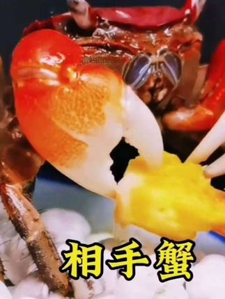 相守蟹 #看过来 #相守蟹 #螃蟹 #鱼缸清洁 #水族爱好者