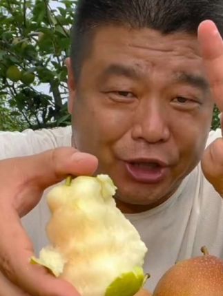 丹霞红梨2.4-5.2斤清脆爽口甘甜怡人香甜爆汁新鲜水果好吃停不下来口感也不错
