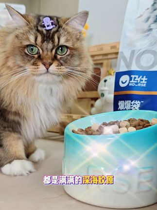 #萌宠好物 #科学养宠攻略 #猫咪 #吃货猫 #卫仕爆爆袋