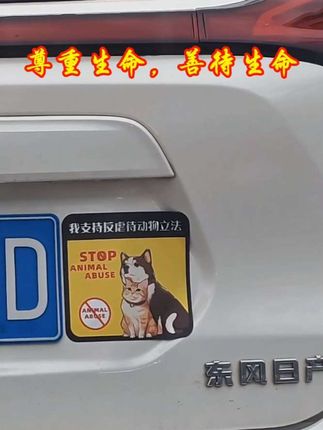 温柔以待,万物共生!#人和动物和谐共处 #动物是人类的朋友 #善待动物关爱生命