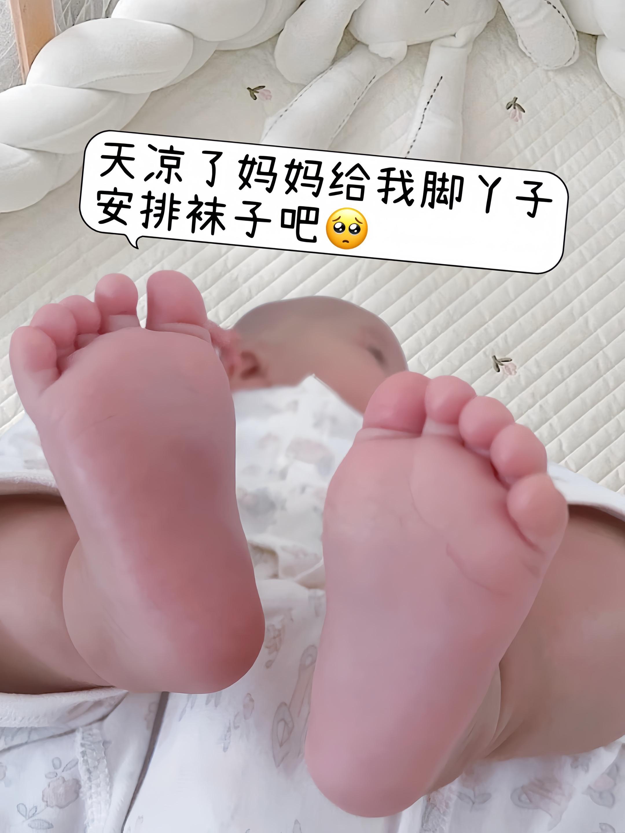 秋意渐浓,宝宝袜子该换啦!A类精梳棉小耳朵中筒袜,软糯透气不闷脚。无骨无线头不磨脚,袜口弹力大不勒腿,搭配秋裤超保暖,可爱又实用。 一盒多双超省心,可换穿!水洗多次不起球不变形,A类精梳棉小耳朵袜性价比绝了。春秋单穿、冬天搭鞋都合适,实用又耐穿,闭眼囤就对了!#宝宝袜子 #儿童袜子 #五朵棉袜子 #儿童袜