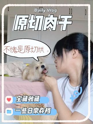 原切烘干肉干,超酥脆,狗狗真的超爱#萌宠出道计划 #傻狗的日常 #狗狗 #色彩萌宠 #科学养宠攻略