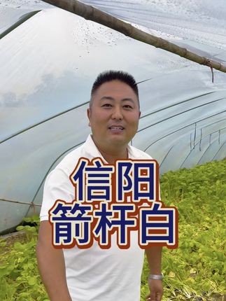 #信阳土特产#乡村振兴#新农人 #抖音直播
