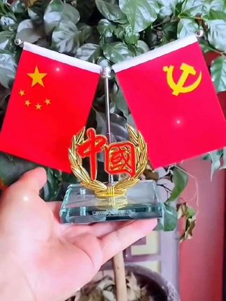 车载小红旗摆件 #宣传正能量 #祖国强大 #保家卫国 #祝祖国繁荣昌盛 #热爱祖国