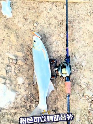 小银鱼二代铅笔 小银鱼铅笔 死飞远投铅笔 微物铅笔 缓沉铅笔 颤沉铅笔 一款路亚翘嘴非常实用的远投铅笔饵#路亚 #钓鱼 #钓鱼人 #路亚钓鱼 #钓鱼人就是这么疯狂