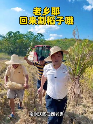 农民丰收节来啦 #各省有自己的丰收美食 #江西老表集合 #回家割稻子了 我们煮#江西米粉 给宝吃#江西村干大東村播助农