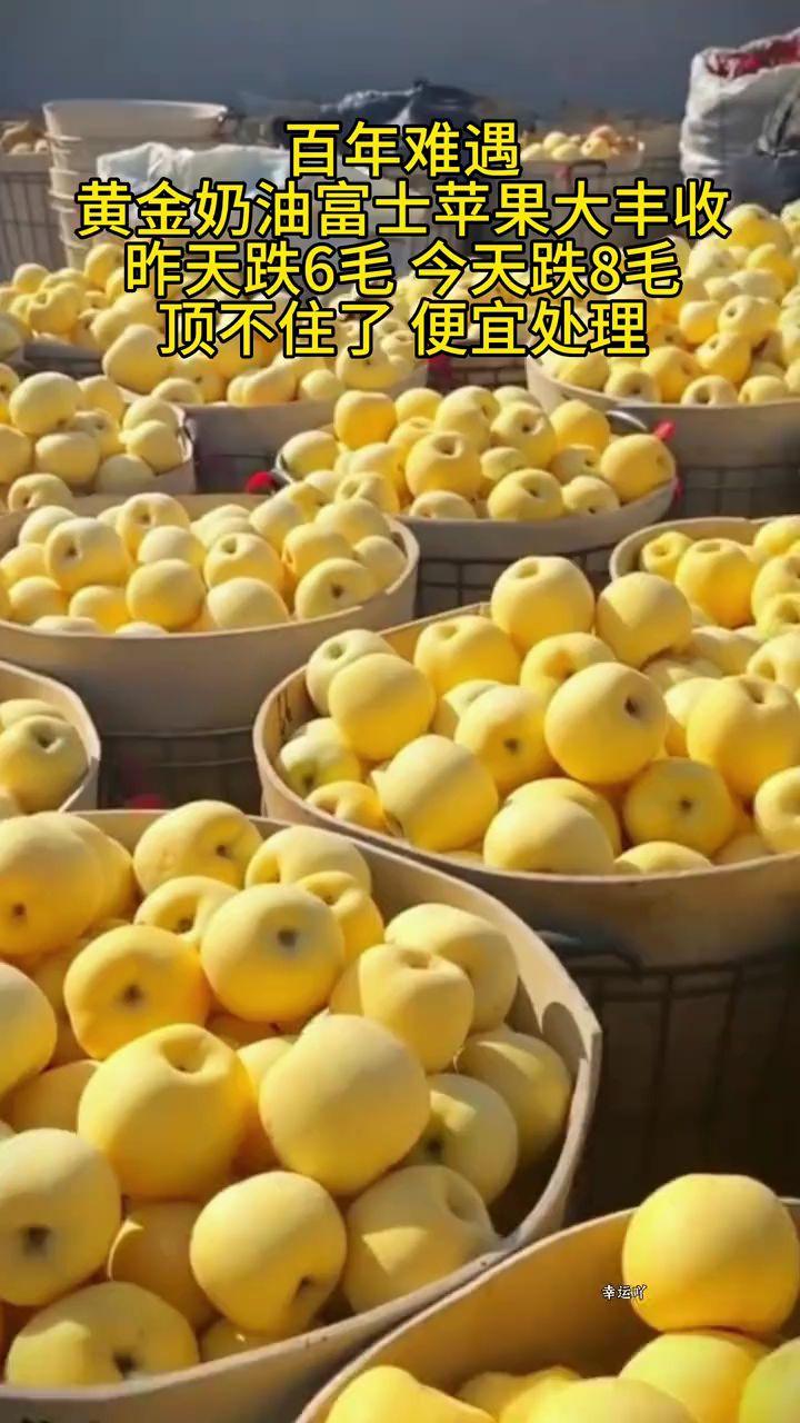 #超便宜超划算#奶油苹果#原产地#新鲜采摘 #优质农产品