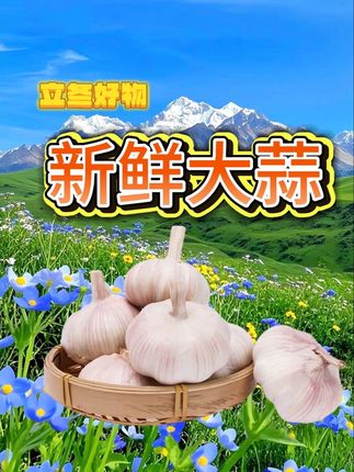 #优质农产品 #三农 #我的乡村生活 #大蒜 #美食