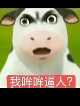 我哞哞逼人?#牛牛表情包 #抽象