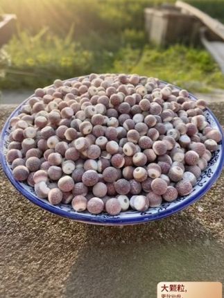 这款农家芡实真的让我爱不释手✨颗粒饱满圆润 每一颗都像小珍珠一样晶莹剔透,泡发后软糯Q弹 口感超级棒!#养生好物 #芡实 #鸡头米 #滋补汤料 #农家特产
