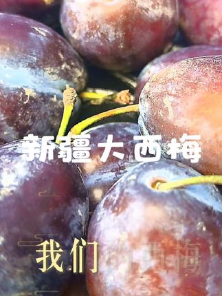 新疆大西梅 新疆大西梅#新疆大西梅