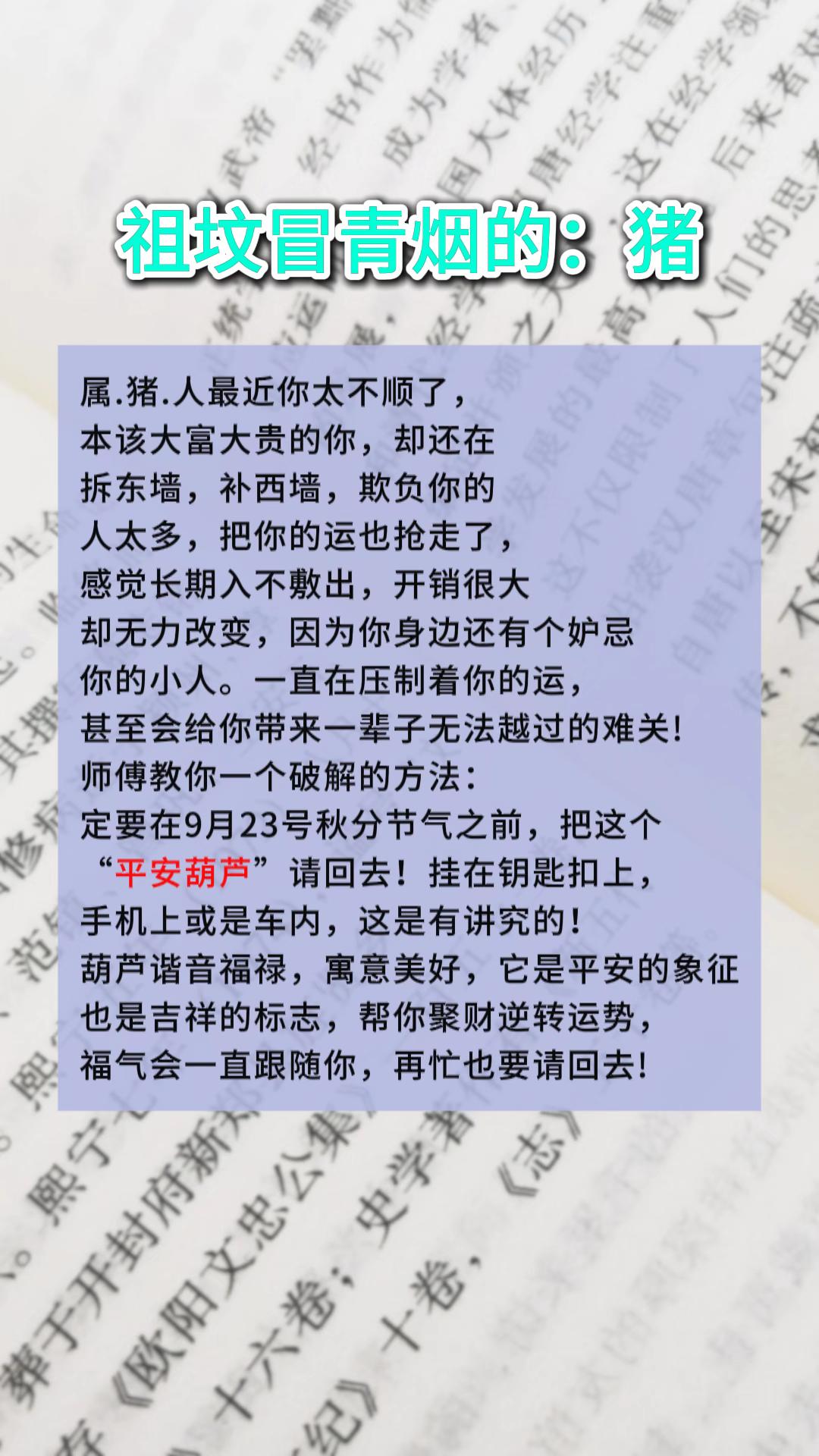 #1971年的猪 #1983年的猪 #1995年的猪