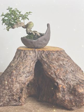 每一次跌倒,都是为了更好地站起来。