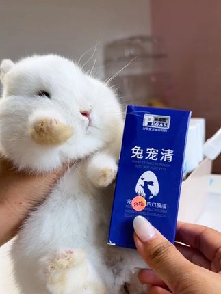 兔子定期驱虫别忽视❗#兔子驱虫#兔子球虫 #兔子驱虫药 #科学养兔#无限回购的宝藏单品