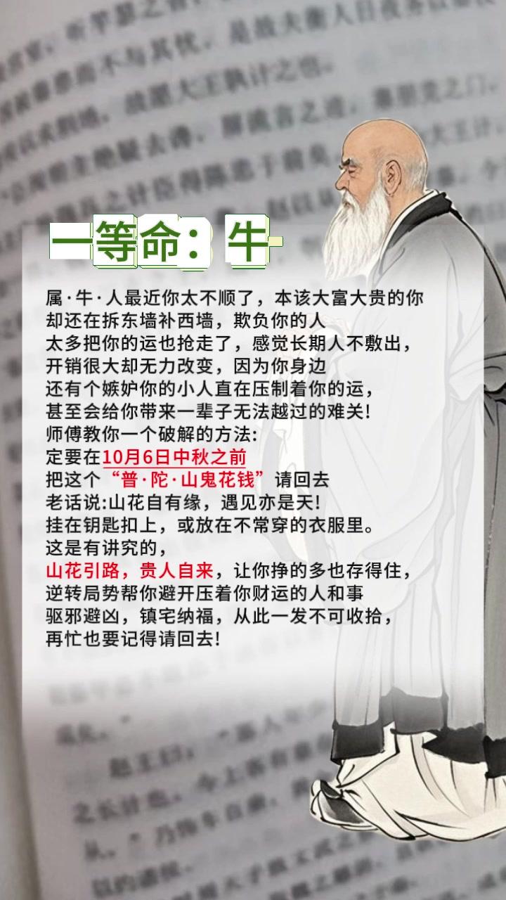 #牛 #属相#属牛的